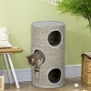 Afbeelding van PawHut Kat klimframe met sisal, comfortabel platform - lichtgrijs