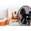 Afbeelding van Aerson Staande Vloerventilator Zwart - 120 cm - 3 Snelheden