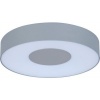 Afbeelding van LUTEC - Ublo Plafond- en Wandlamp - Groot