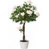 Afbeelding van Outsunny - Kunstplant - Kunststof - 18x18x90 cm - Wit