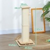 Afbeelding van PawHut 3-in-1 Krabpaal voor Kittens, 67 cm met Sisal, Trackball en Hangbal