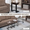 Afbeelding van HOMCOM Bijzettafelset met Stalen Frame 839-608V00