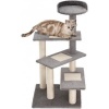 Afbeelding van PawHut 5-laags kattenklim- en krabboom met sisal - beige