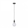 Afbeelding van Paul Neuhaus Edison Style hanglamp, E27, zwart
