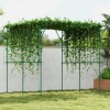 Afbeelding van Outsunny Stalen Rankgitter, 223L x 223B x 223H cm, Groen