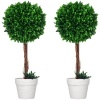 Afbeelding van HOMCOM Kunstplanten, set van 2 UV-bestendige kunstplanten, 60 cm buxusbomen, kamerplant in bloempot,