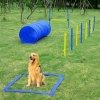 Afbeelding van PawHut Honden behendigheidstunnel slalom oefening hondensport set 2 modellen D07-004