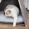 Afbeelding van PawHut Huisdiertent voor honden en katten met zacht pluche kussen - Grijs