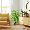 Afbeelding van HOMCOM - Kunstplant - PEVA - 17x17x95 cm - Groen