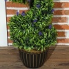 Afbeelding van HOMCOM Kunstmatige Topiaries Kunstplanten PE Ø28 x 115 cm Groen