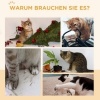 Afbeelding van PawHut Kattenloopwiel 91 cm met rem, krabplank voor gezonde beweging en ontspanning, eik