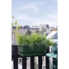 Afbeelding van Elho Greenville Easy Balkonbak 52 - 100% Gerecycled Plastic - Blad groen
