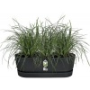 Afbeelding van Elho Greenville Easy Balkonbak 52 - 100% Gerecycled Plastic - Living zwart