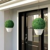 Afbeelding van HOMCOM - Kunstplant Buxus - Set van 2