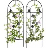 Afbeelding van Outsunny Rankhulp van ijzer 38L x 0,8B x 98H cm - Zwart