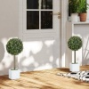 Afbeelding van HOMCOM Kunststof Kunstmatige Topiaries 10x10x45 cm Groen