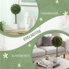 Afbeelding van HOMCOM Kunststof Kunstmatige Topiaries 10x10x45 cm Groen