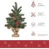 Afbeelding van HOMCOM Kerstboom PE, Cement, Jute Ø28 x 50H cm Groen