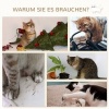 Afbeelding van PawHut Klimwand met Klimwand D30-554V00
