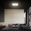Afbeelding van Briloner Leuchten FREE - LED plafondlamp met achtergrondverlichting - 18 W - vierkant - wit-zwart