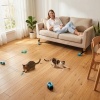 Afbeelding van PawHut Kattenspeelgoed - Zwart - 14,8 x 11,7 x 10 cm
