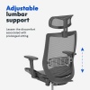 Afbeelding van FLEXISPOT Ergonomische bureaustoel met 3D-armleuningen en verstelbare lendensteun, zwart