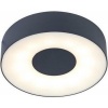 Afbeelding van LUTEC - Ublo Plafond- en Wandlamp - Groot