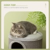 Afbeelding van PawHut Kat klimframe met sisal, comfortabel platform - lichtgrijs