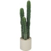 Afbeelding van Homcom Kunstplant - Kunststof - 22L x 22B x 95H cm - Groen