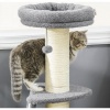 Afbeelding van PawHut Krabpaal met Krabplank D30-552V00