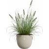 Afbeelding van Elho Sereh Rond 40 - Beige Bloempot voor Binnen & Buiten - 100% Gerecycled Plastic