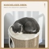Afbeelding van PawHut Kratztonne 70 cm, 3-laags speeltonne voor katten met 3 holen, bruin pluche