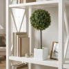 Afbeelding van HOMCOM Kunststof Kunstmatige Topiaries 10x10x45 cm Groen