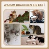 Afbeelding van PawHut Interactief Kratzspeelgoed, 2-in-1 Katten speelgoed met balbaan en krabplank, 39,5 x 32,5 x 1