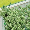 Afbeelding van Outsunny Stalen Rankgitter, 223L x 223B x 223H cm, Groen