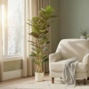 Afbeelding van Homcom Kunstplant - Kunststof - 50L x 50B x 150H cm - Groen