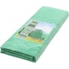 Afbeelding van Outsunny Vervangfolie voor kas PE 300L x 300B x 200H cm - Groen