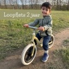 Afbeelding van Chillafish Loopfiets 2 jaar - Lichtgewicht met verstelbaar zadel en stuur - Groen - Voor jongens en