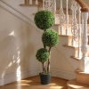 Afbeelding van HOMCOM Kunstplant van kunststof en cement, 19,5x19,5x115 cm, groen