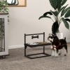 Afbeelding van PawHut Huisdieren Voederbak Staal 40,5L x 22B x 39H cm Zwart