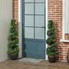 Afbeelding van HOMCOM Kunstmatige Topiaries Kunstplanten PE Ø28 x 115 cm Groen