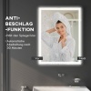 Afbeelding van HOMCOM badkamerspiegel - glas en kunststof - 80L x 60B x 4H cm - zilver