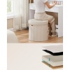 Afbeelding van SONGMICS Opbergpoef, Opvouwbare Voetenbank, 65 L, 47 x 47 x 45 cm