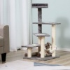 Afbeelding van PawHut 5-laags kattenklim- en krabboom met sisal - beige