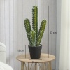 Afbeelding van Homcom Kunstplant van Kunststof - 13L x 13B x 53H cm - Groen