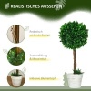 Afbeelding van HOMCOM Kunstplanten, set van 2 UV-bestendige kunstplanten, 60 cm buxusbomen, kamerplant in bloempot,
