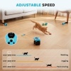 Afbeelding van PawHut Kattenspeelgoed - Zwart - 14,8 x 11,7 x 10 cm