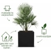 Afbeelding van Elho Vivo Next Vierkant 30 - Plantenbak voor Binnen & Buiten - 100% Gerecycled - 29,5 x 29,5 cm - Li