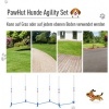 Afbeelding van PawHut Honden slalompalen voor behendigheidstraining met tas - Wit en blauw