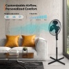 Afbeelding van Aerson Staande Vloerventilator Zwart - 120 cm - 3 Snelheden
